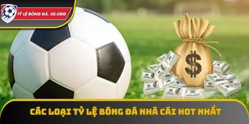 Các loại tỷ lệ bóng đá phổ biến nhất 2025