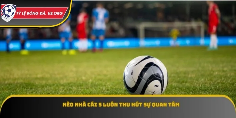 Tỷ lệ kèo nhà cái 5 luôn thu hút sự quan tâm