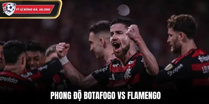 Soi kèo Botafogo vs Flamengo - thống kê kết quả ra sân