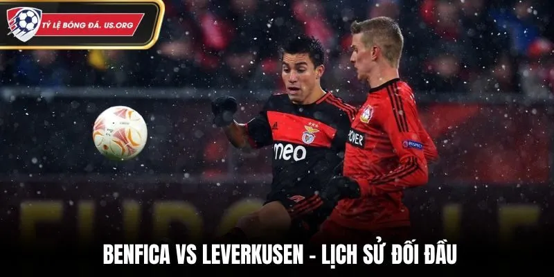 Soi kèo Benfica vs Leverkusen - phân tích tỷ số các lần đụng độ trước đó