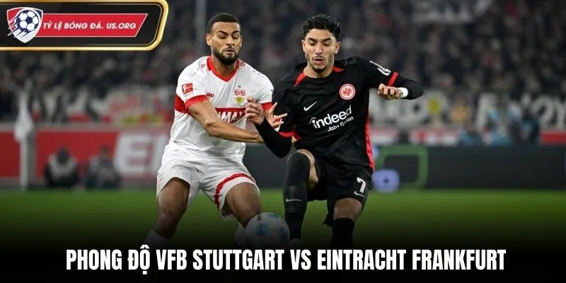 Nhận định soi kèo VFB Stuttgart vs Eintracht Frankfurt qua phong độ